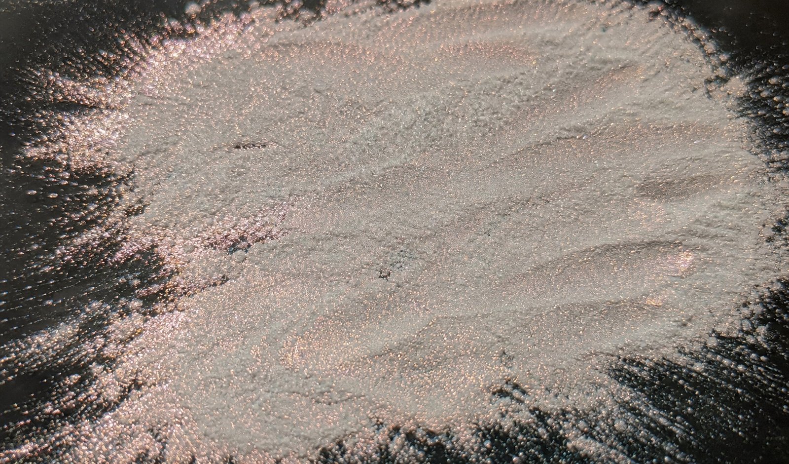 Stellar Rosa
